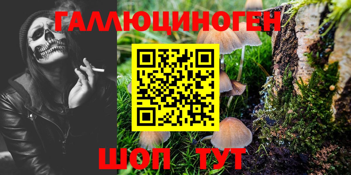 Галлюциногенные грибы GOLDEN TEACHER  Вход с VPN  Гай 