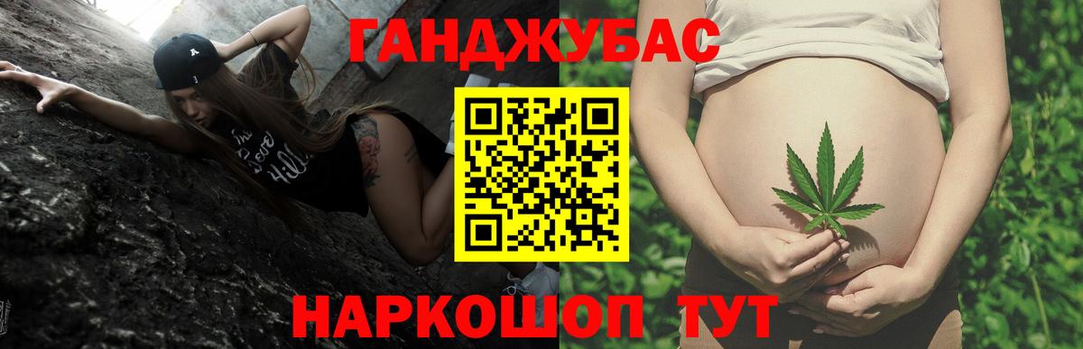 Конопля VHQ  Вход с VPN  Гай  Канабис планчик  Каннабис индика 